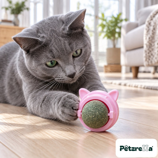 Petzrella Natural Catnip Dental Chew Toy Set