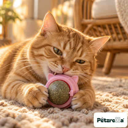 Petzrella Natural Catnip Dental Chew Toy Set