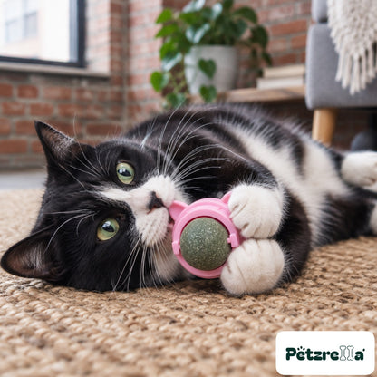 Petzrella Natural Catnip Dental Chew Toy Set