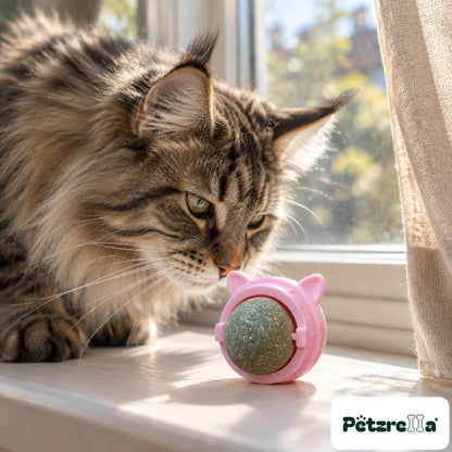 Petzrella Natural Catnip Dental Chew Toy Set