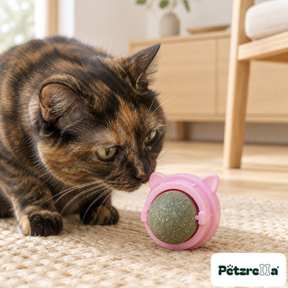 Petzrella Natural Catnip Dental Chew Toy Set