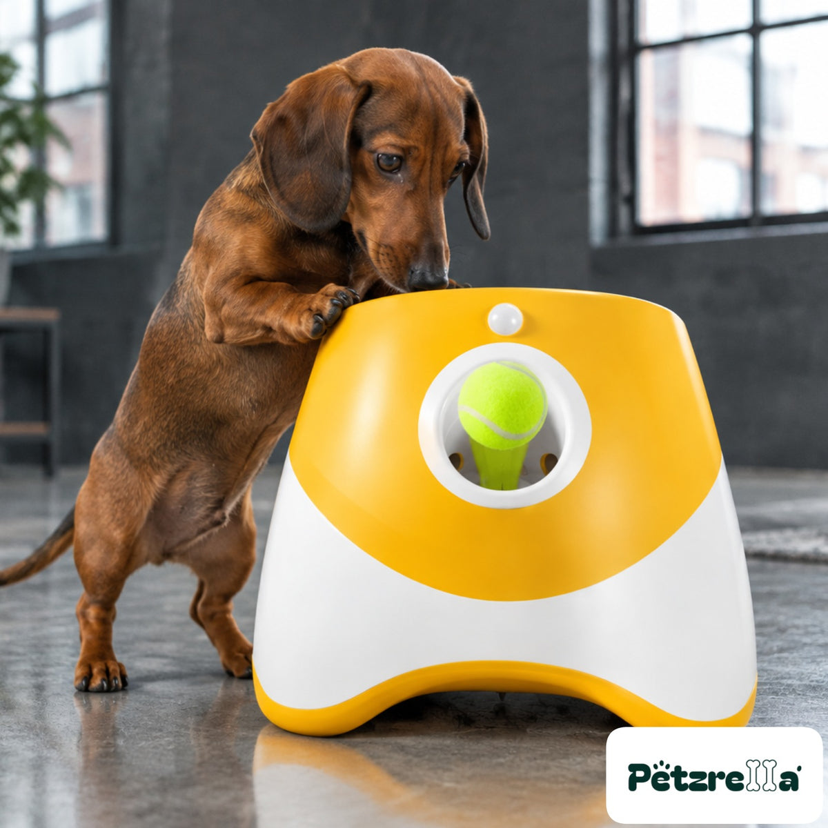 Petzrella Automatic Tennis Ball Launcher for Dogs