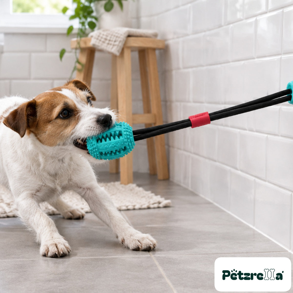 Petzrella Interactive Suction Tug Toy for Dogs
