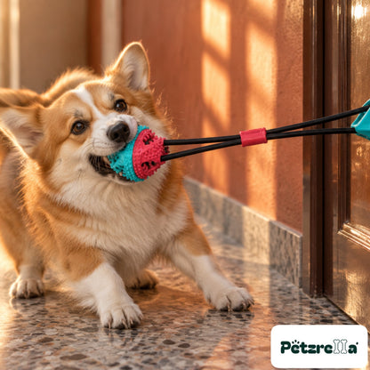 Petzrella Interactive Suction Tug Toy for Dogs