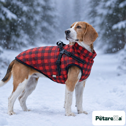 Petzrella Winter Dog Jacket with Integrated Harness