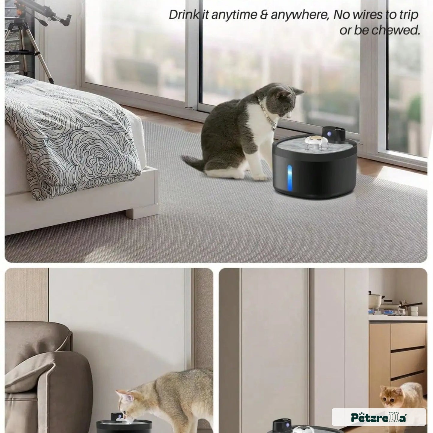 Petzrella Kabelloser Automatischer Katzen-Trinkbrunnen 2,6L Edelstahl mit Sensor – Detailansicht 1