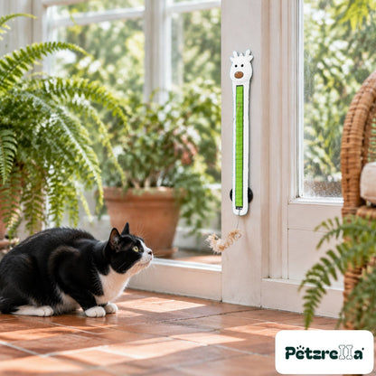 Petzrella Auto Cat Teaser in white - view 3