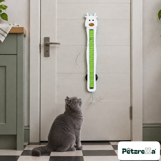 Petzrella Auto Cat Teaser in white - view 6