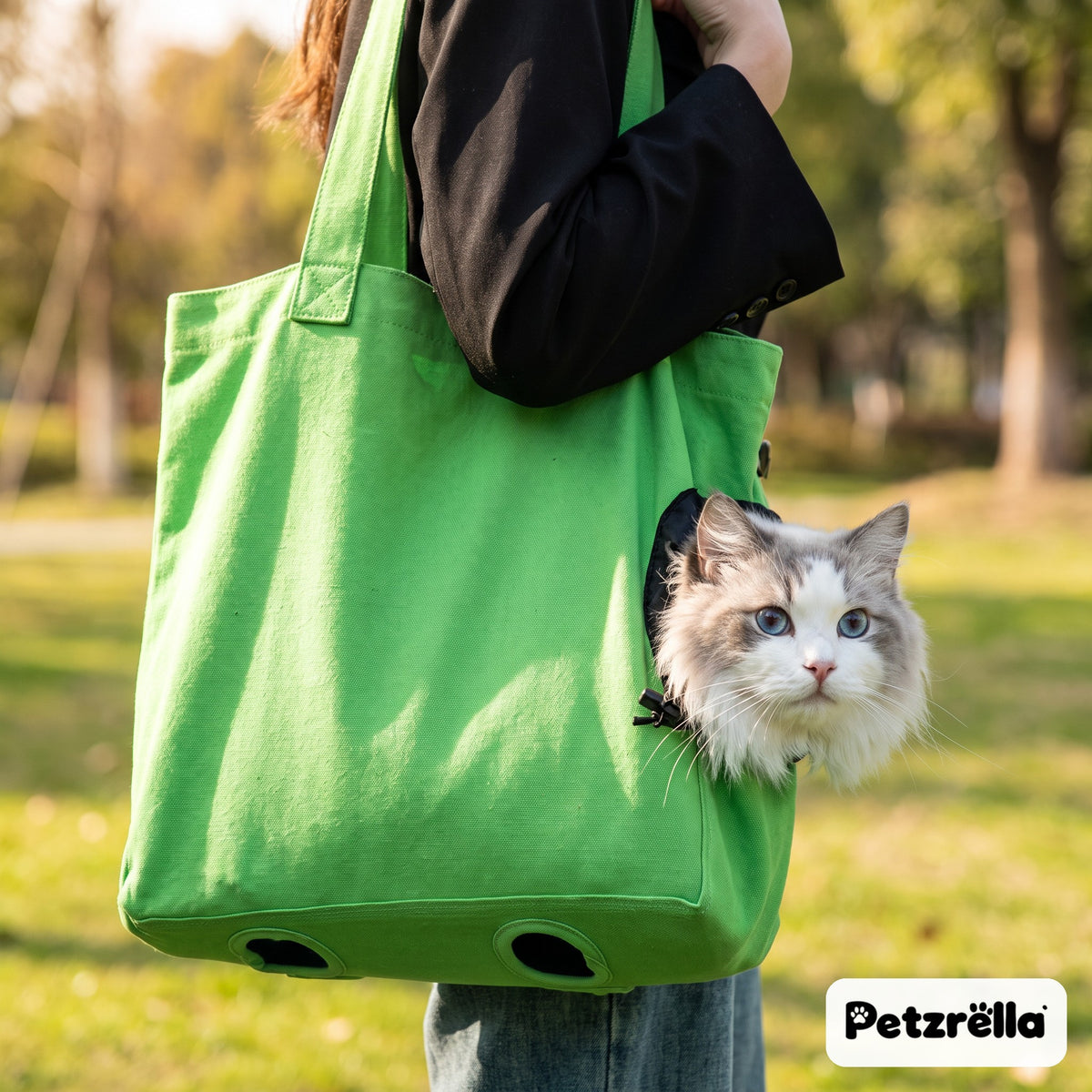 Cat looking out of the green Petzrella canvas cat carrier bag in the park