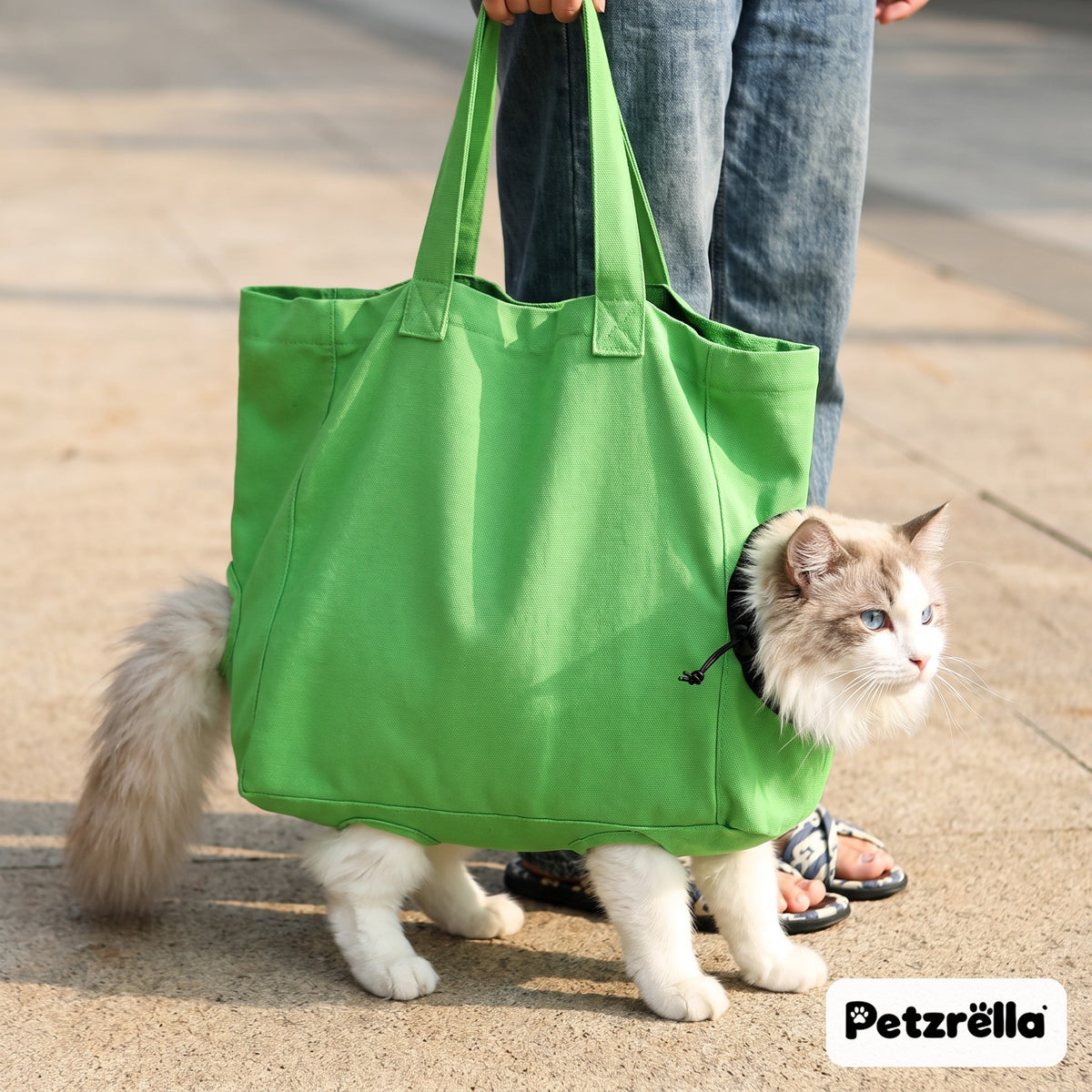 Cat walking with its paws through the leg openings of the green Petzrella cat carrier bag