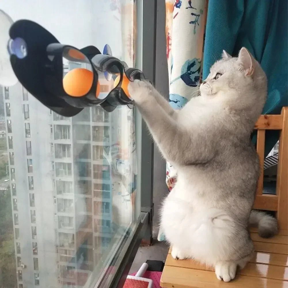 Petzrella Cat Track Ball Toy with Suction Cup - Petzrella Kft.