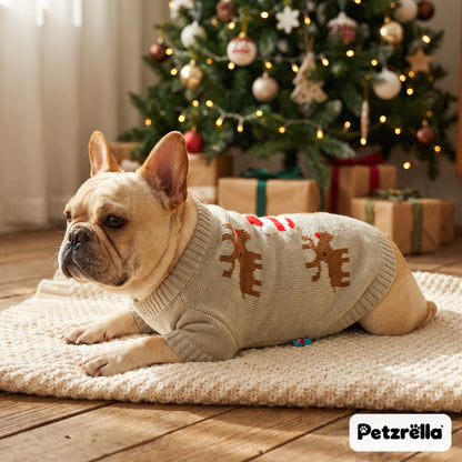 French bulldog in the Petzrella reindeer sweater lying on a knitted blanket