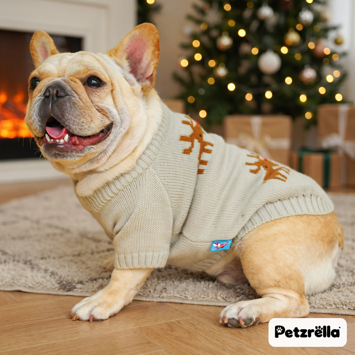 Happy French bulldog in the Petzrella Christmas sweater in front of a fireplace