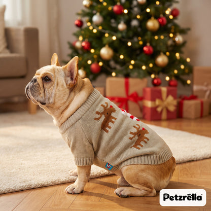 French bulldog in the Petzrella knitted reindeer Christmas sweater by the tree
