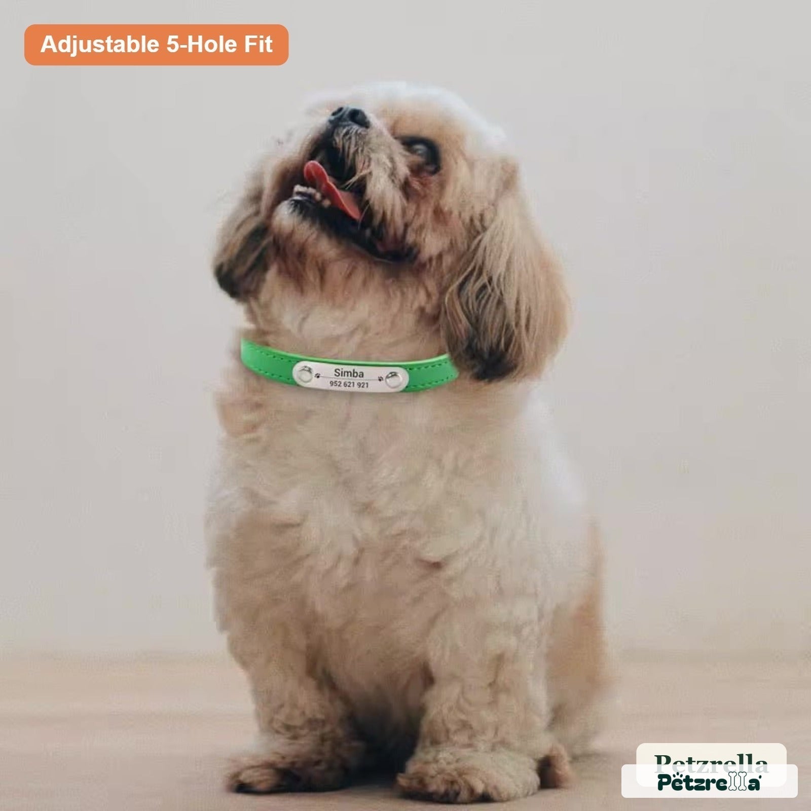 Petzrella Custom Engraved Pet Collar - Personalized for Pets - Petzrella Kft.