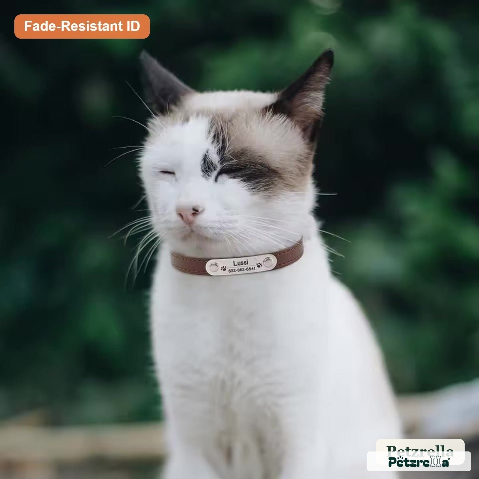 Petzrella Custom Engraved Pet Collar - Personalized for Pets - Petzrella Kft.