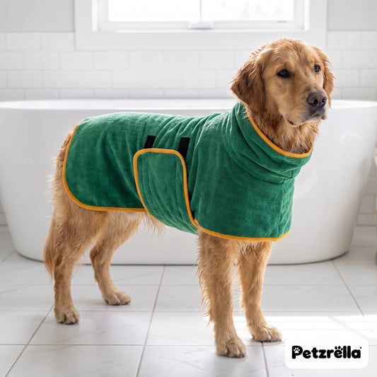 Petzrella microfibre dog bathrobe in green worn by a golden retriever in a bright bathroom after a bath