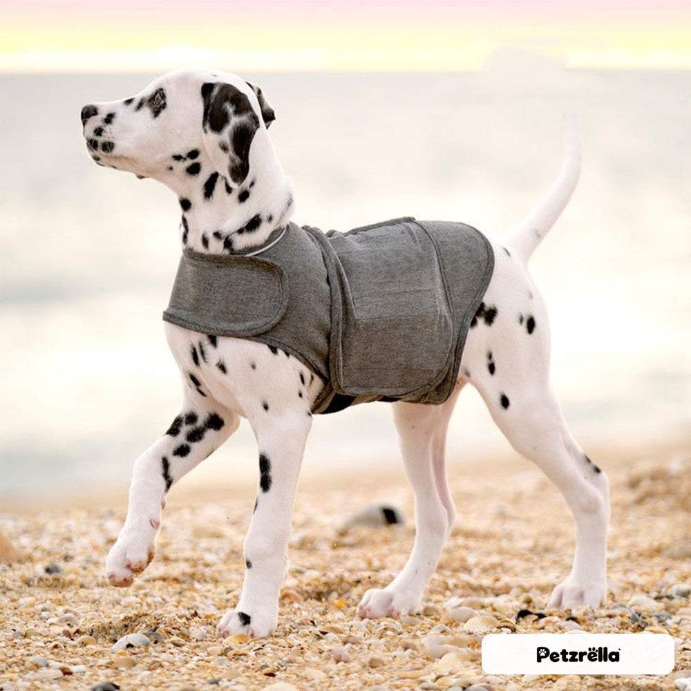 Dog wearing the Petzrella dog calming vest in grey
