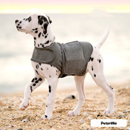 Dog wearing the Petzrella dog calming vest in grey