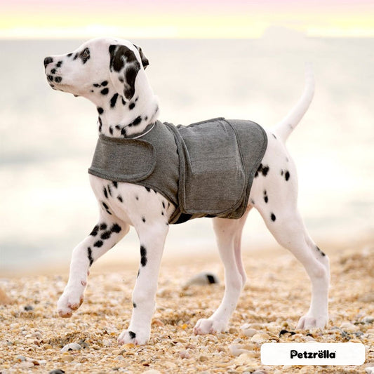 Dog wearing the Petzrella dog calming vest in grey