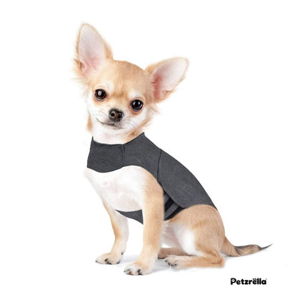 Small dog wearing the Petzrella calming vest in grey