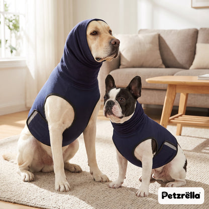 Petzrella navy calming vest with hood on a Labrador and a French bulldog in the living room