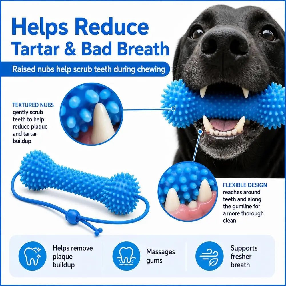 Petzrella Dog Dental Chew Toy with Rope – Bite-Resistant PVC Toothbrush - Petzrella Kft.
