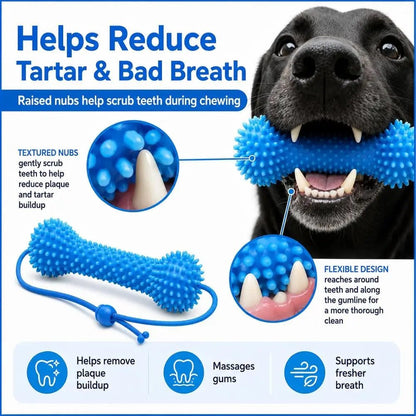 Petzrella Dog Dental Chew Toy with Rope – Bite-Resistant PVC Toothbrush - Petzrella Kft.