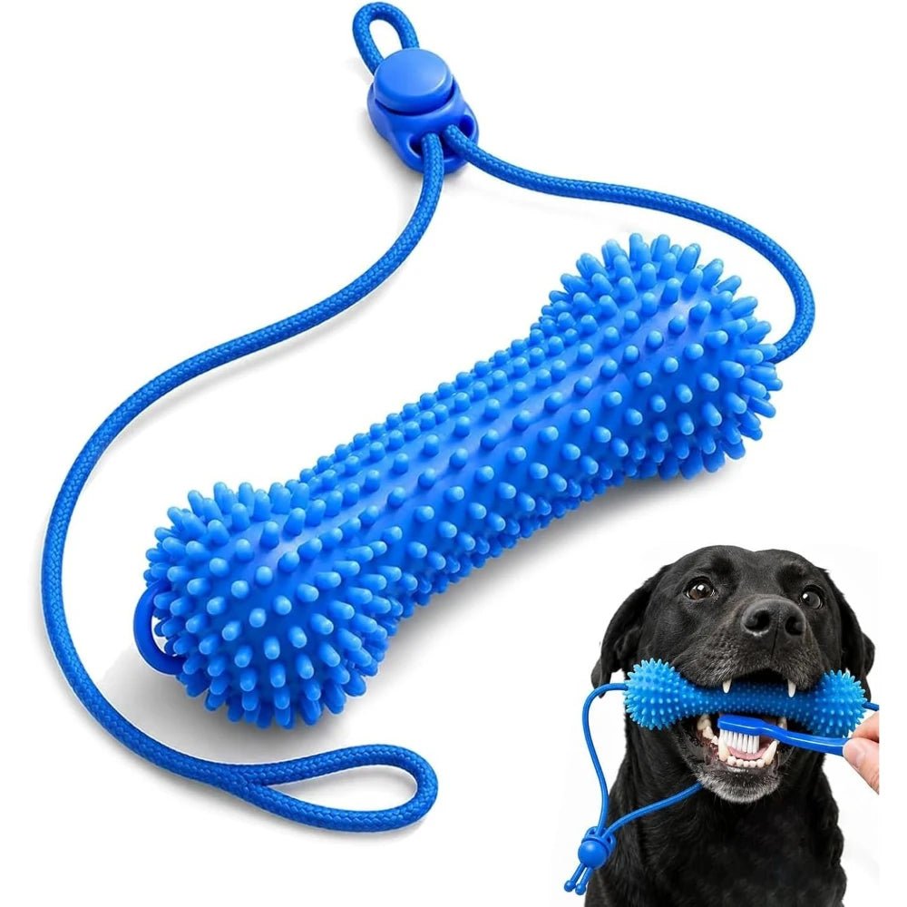 Petzrella Dog Dental Chew Toy with Rope – Bite-Resistant PVC Toothbrush - Petzrella Kft.