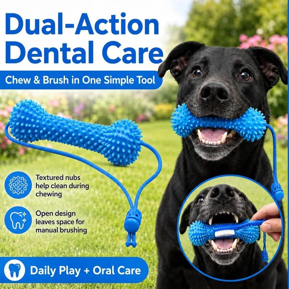 Petzrella Dog Dental Chew Toy with Rope – Bite-Resistant PVC Toothbrush - Petzrella Kft.