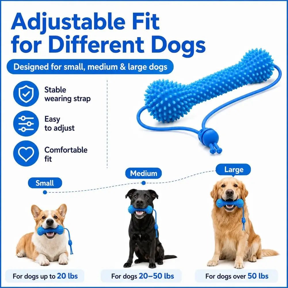 Petzrella Dog Dental Chew Toy with Rope – Bite-Resistant PVC Toothbrush - Petzrella Kft.