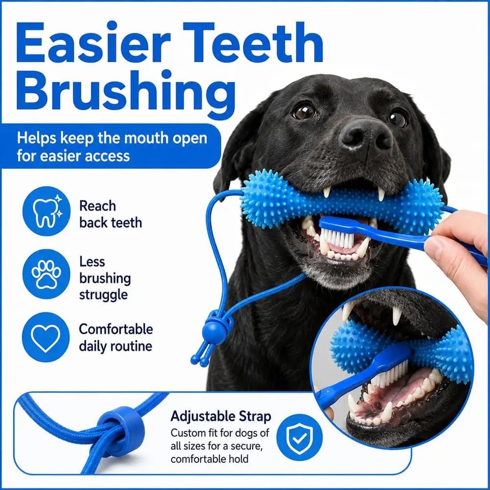 Petzrella Dog Dental Chew Toy with Rope – Bite-Resistant PVC Toothbrush - Petzrella Kft.