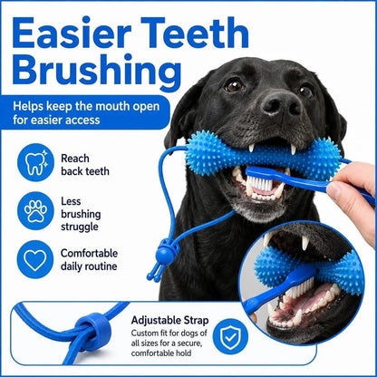 Petzrella Dog Dental Chew Toy with Rope – Bite-Resistant PVC Toothbrush - Petzrella Kft.