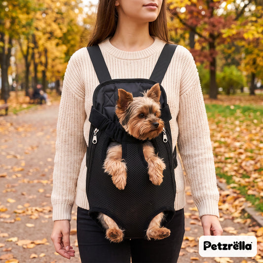 Woman carrying a Yorkshire terrier in the black Petzrella pet front carrier in an autumn park