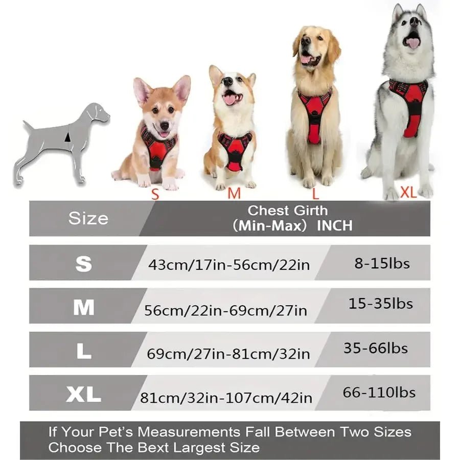 Petzrella Dog Vest Harness Sizes S to XL - Petzrella Kft.