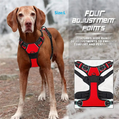 Petzrella Dog Vest Harness Sizes S to XL - Petzrella Kft.