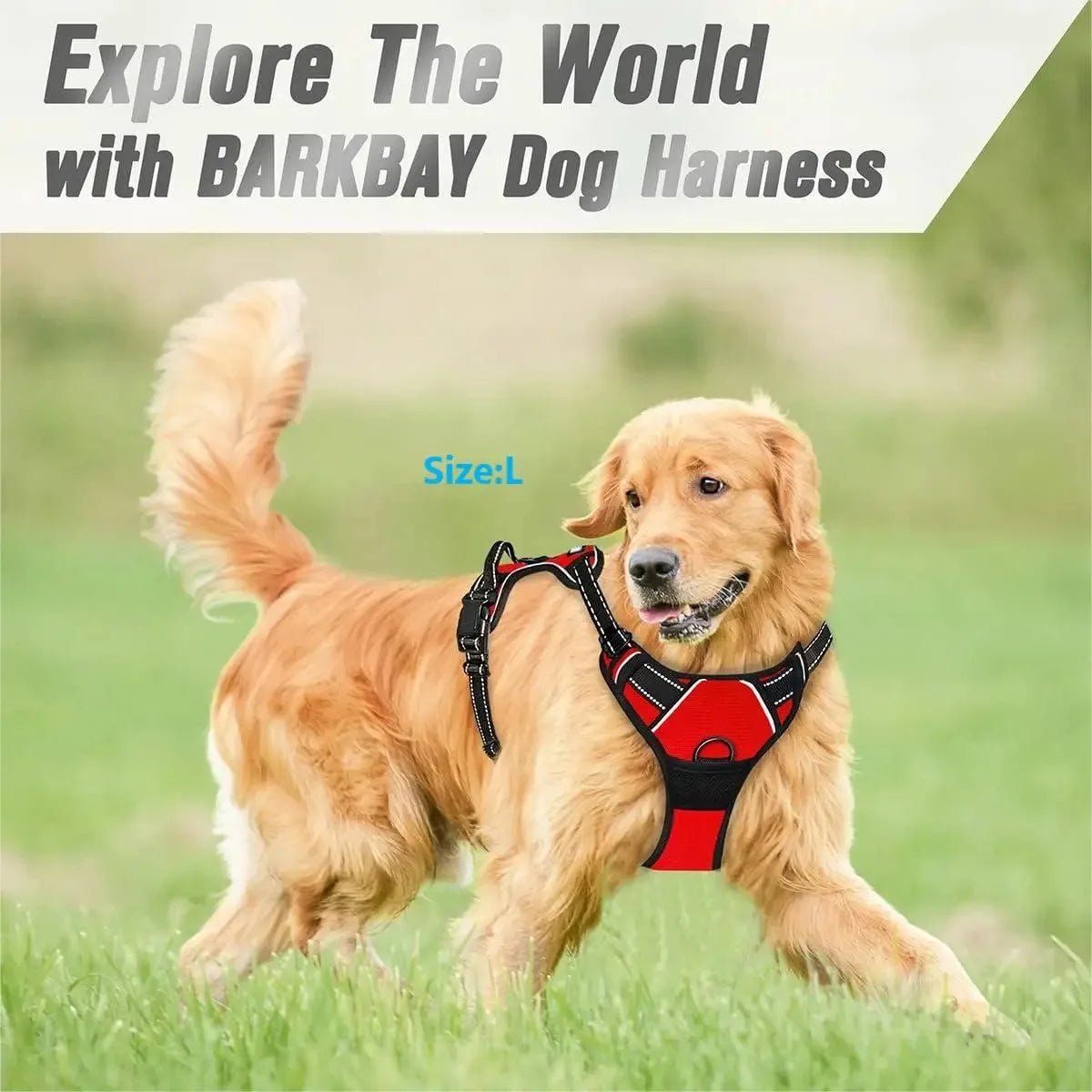 Petzrella Dog Vest Harness Sizes S to XL - Petzrella Kft.
