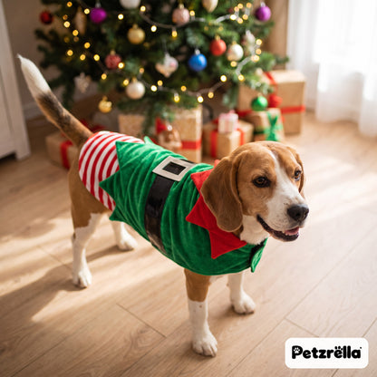 Beagle wearing the Petzrella green Christmas elf costume by the Christmas tree