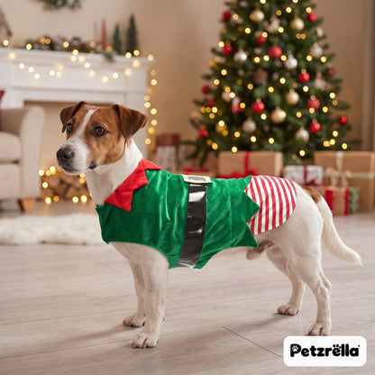 Terrier wearing the Petzrella green Christmas elf costume, side view
