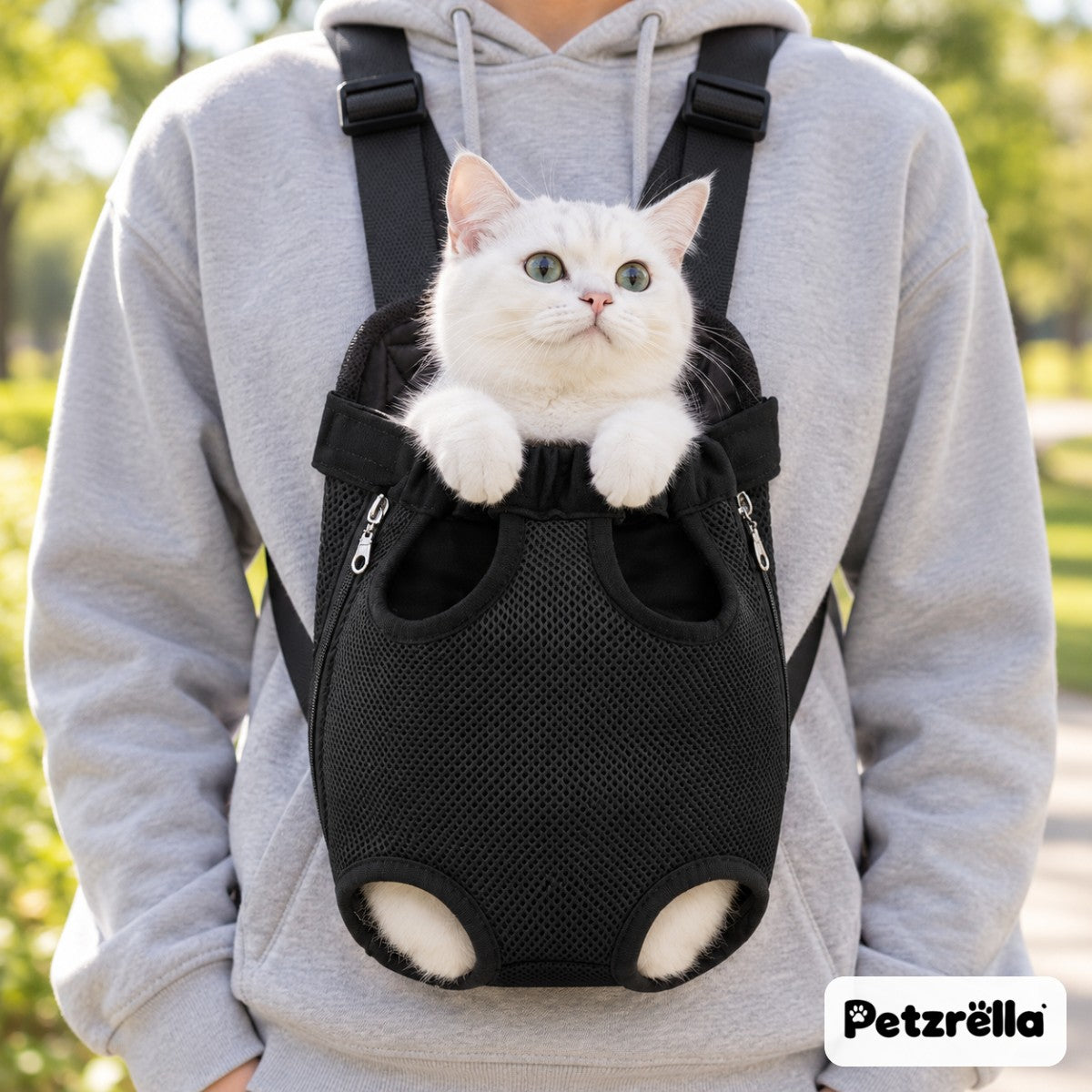 White cat in the black Petzrella front pet carrier, legs out, worn on the chest in a park