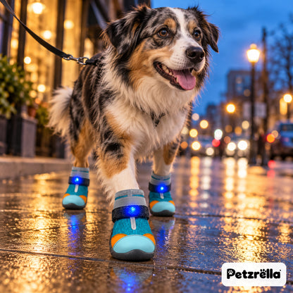 Petzrella LED Light-Up Dog Boots – Australian shepherd wearing glowing LED boots on a rainy city street at night