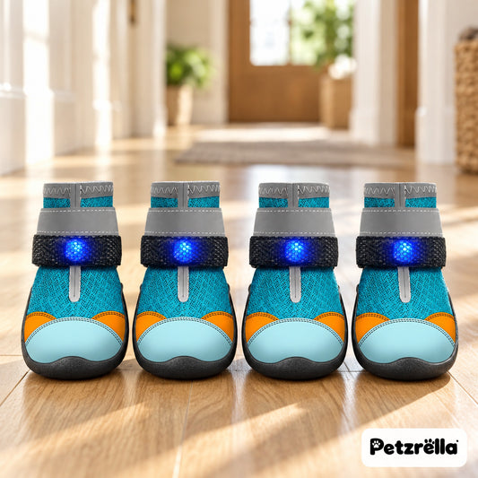 Petzrella LED Light-Up Dog Boots – set of 4 teal boots with blue LED light and reflective strap