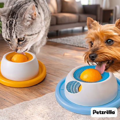 Petzrella lick soothing bowls in orange and blue used by a tabby cat and a Yorkshire terrier