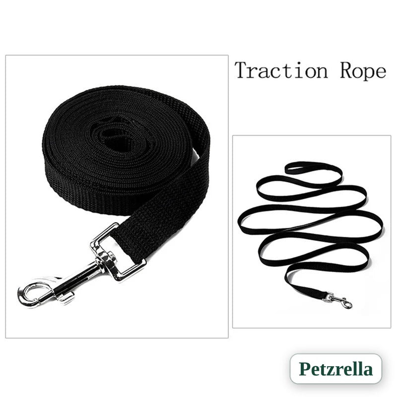 Petzrella long nylon leash for recall training