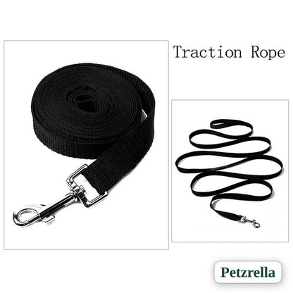 Petzrella long nylon leash for recall training