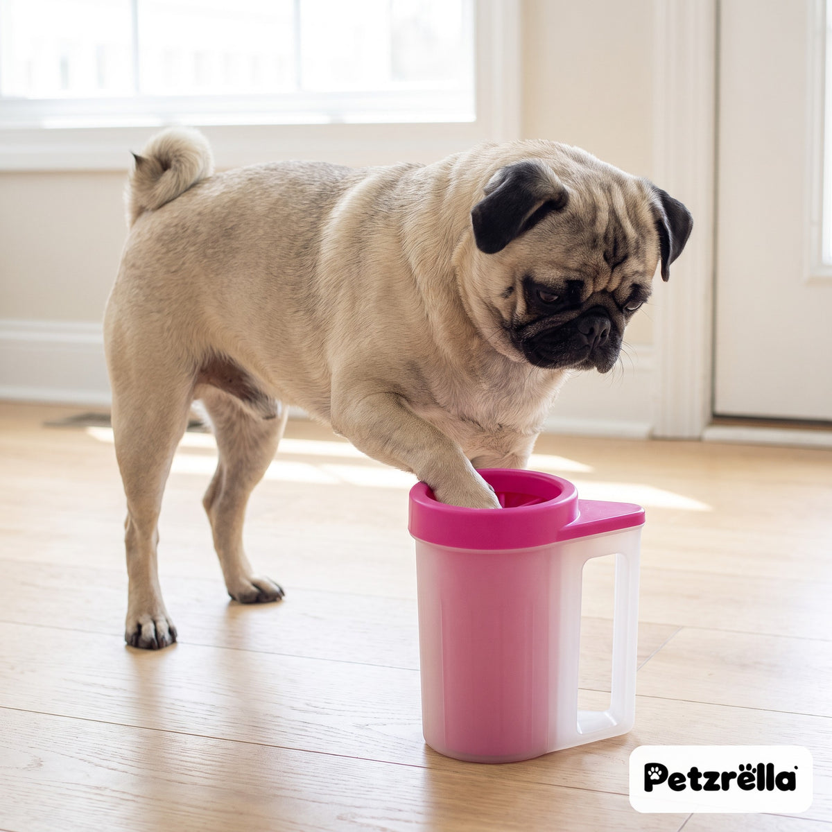 Petzrella pink portable paw cleaner cup with a pug cleaning its paw in a bright entryway