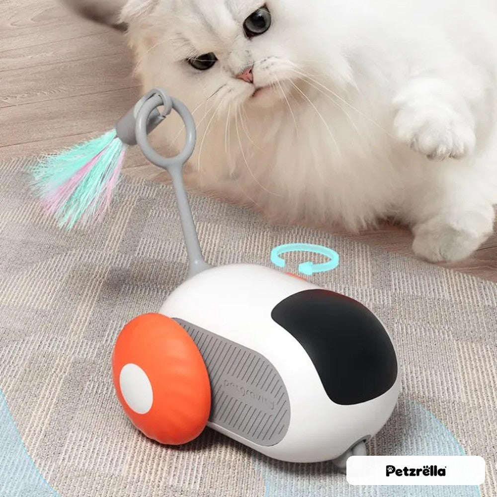 Cat playing with Petzrella remote control cat car