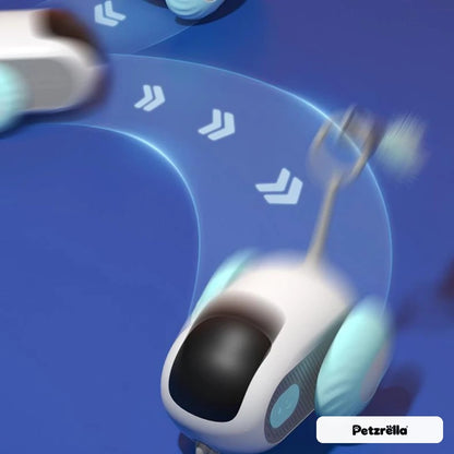 Petzrella cat car spinning and driving