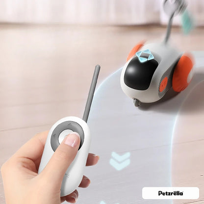 Steering the Petzrella cat car with the remote control
