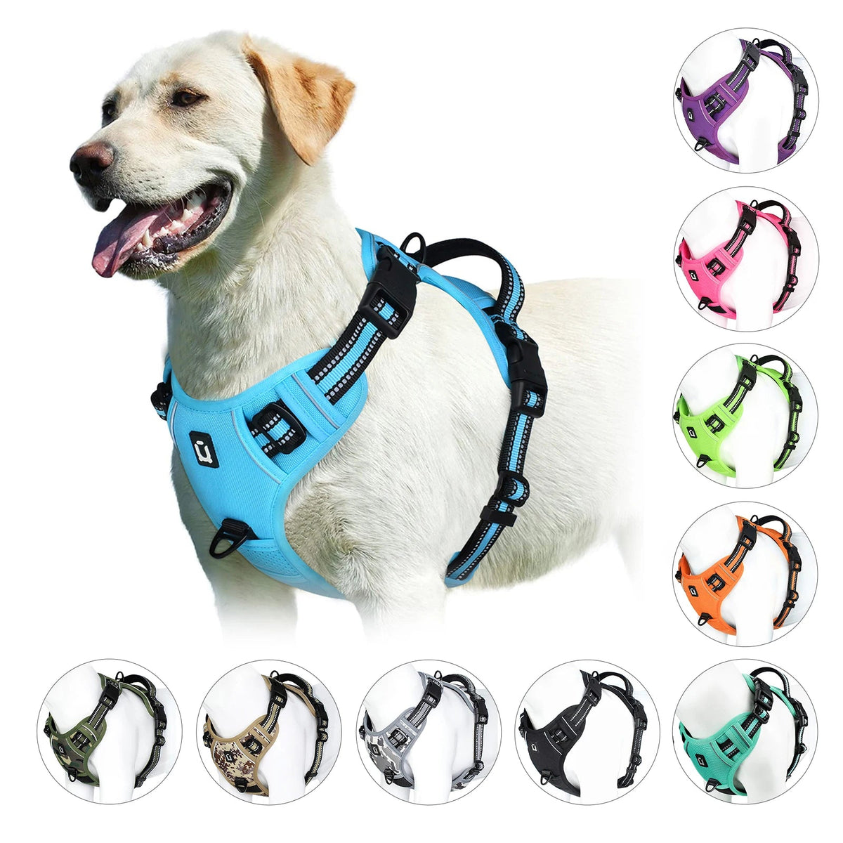 Petzrella Reflective No-Pull Dog Harness – Front-Clip Control - Petzrella Kft.